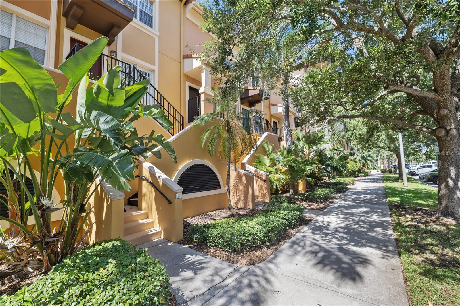 MADISON AT ST PETE II - Residential