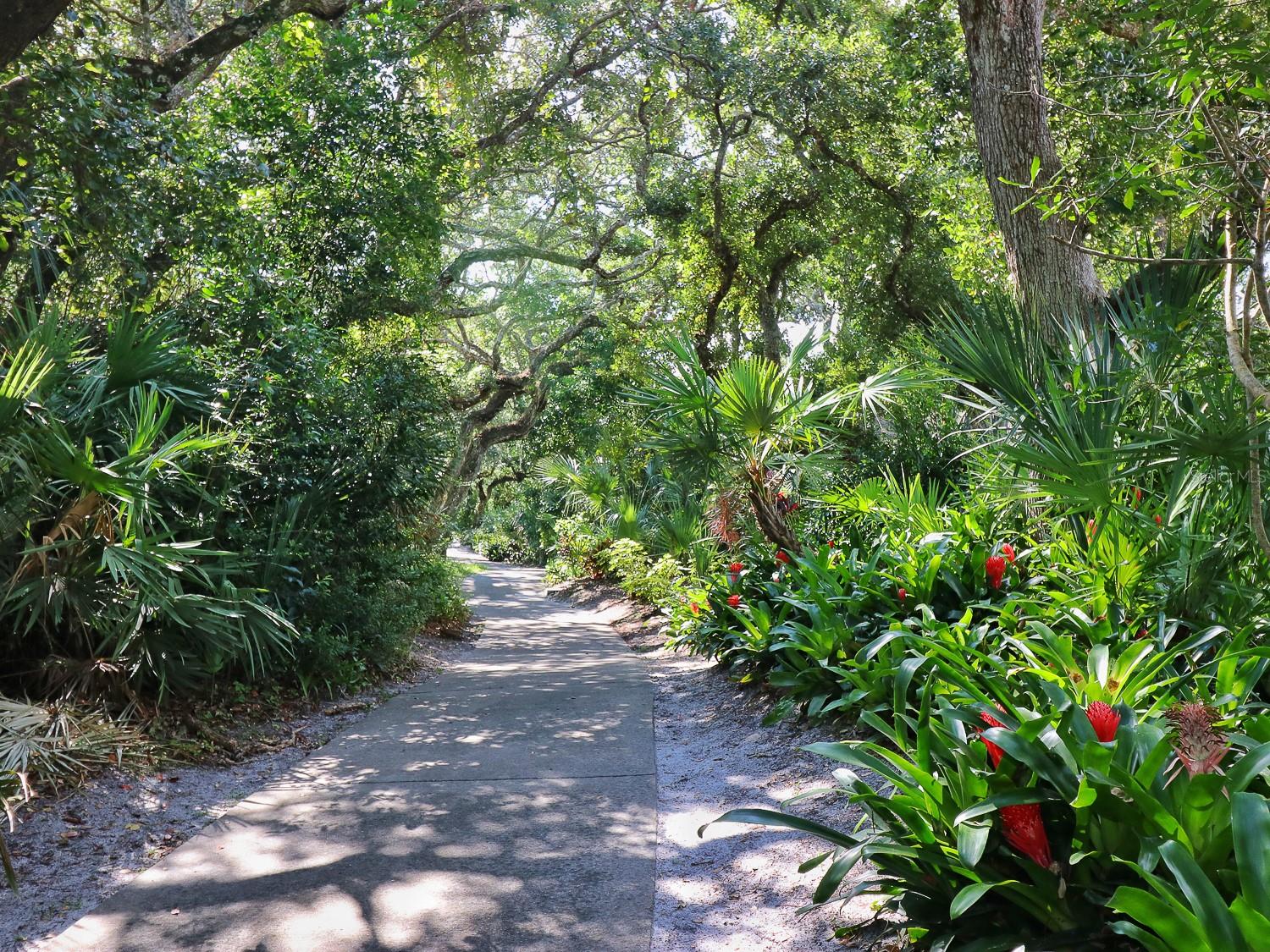 Sea Woods Condo - Residential