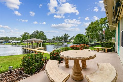 21738 OCEAN PINES DRIVE LAND O LAKES FL 34639