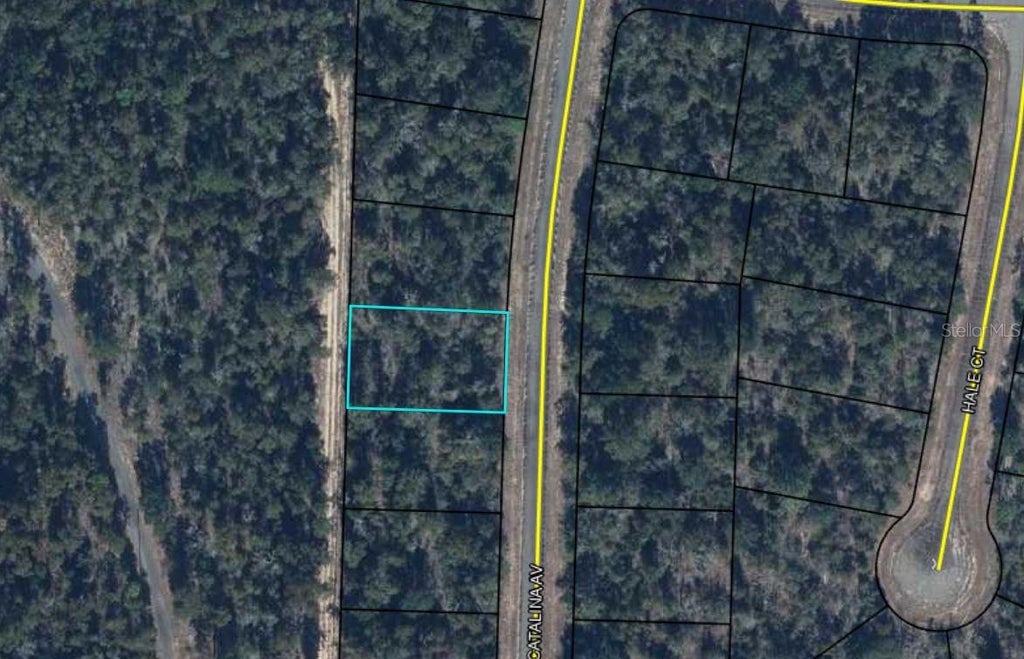 Photo of 00000000-11-0746-002 Catalina Avenue, Chipley, FL 32428 (MLS # A4708426)