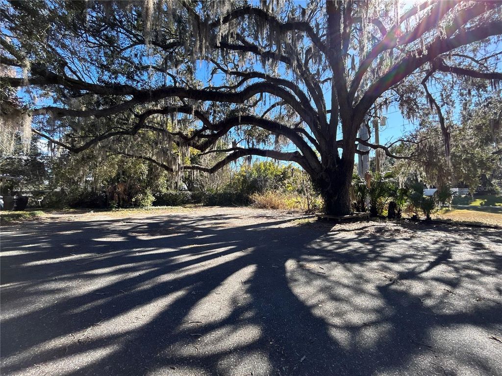 Photo of 404 Perkins Street, Leesburg, FL 34748 (MLS # O6396376)