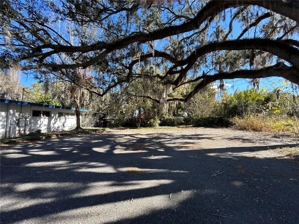 Photo of 404 Perkins Street, Leesburg, FL 34748 (MLS # O6396376)