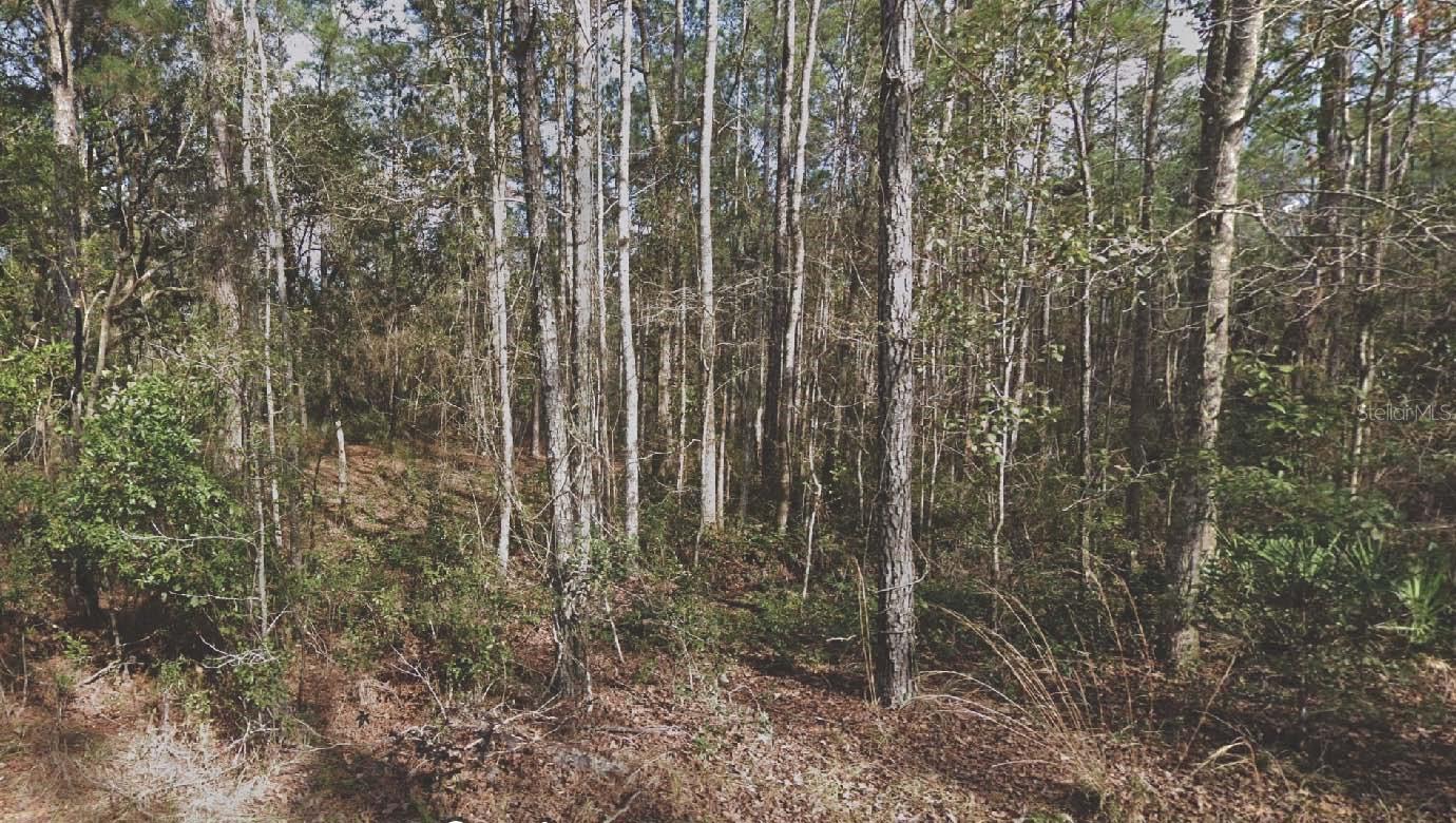 RIO DE ST JOHN 01 - Land