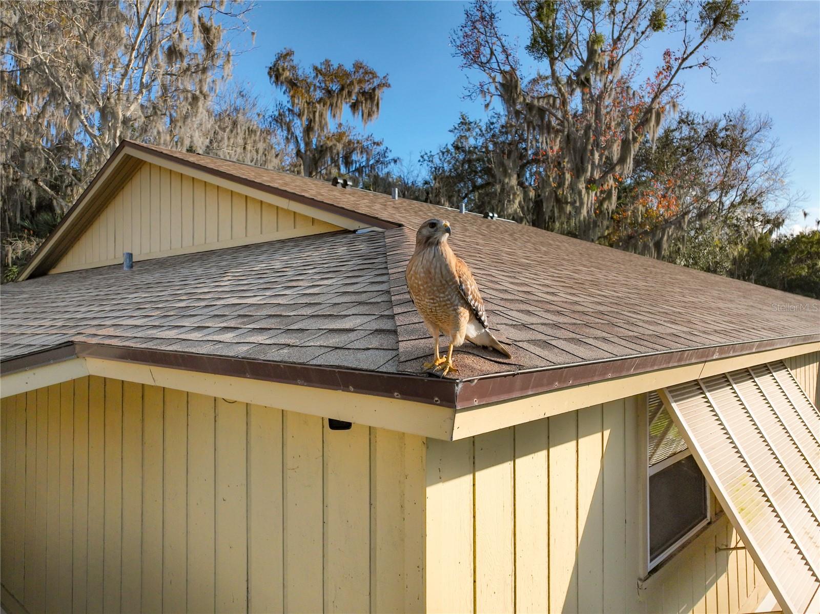 LAKESIDE CONDO APTS - Residential