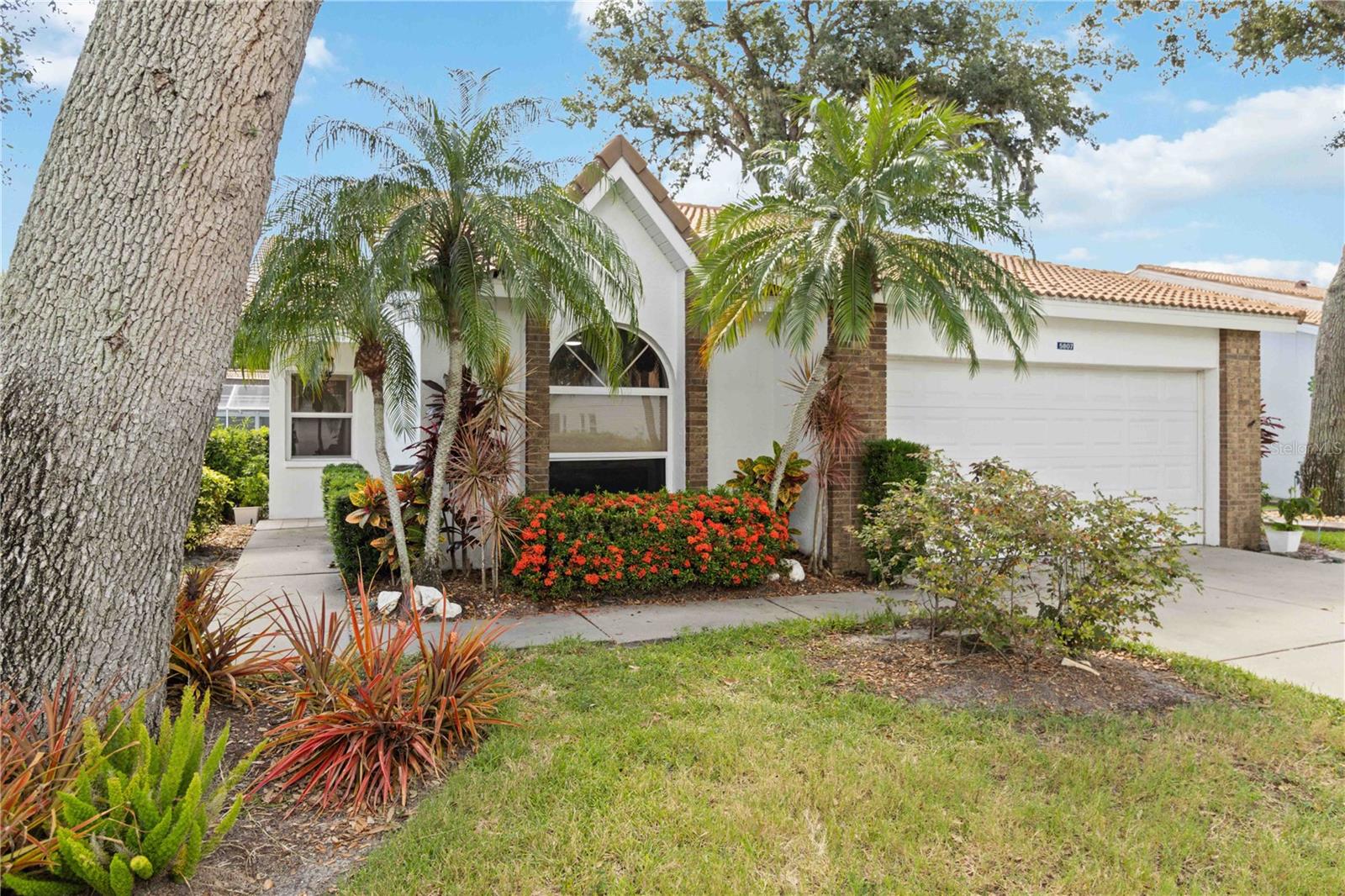 5807 GARDEN LAKES FERN