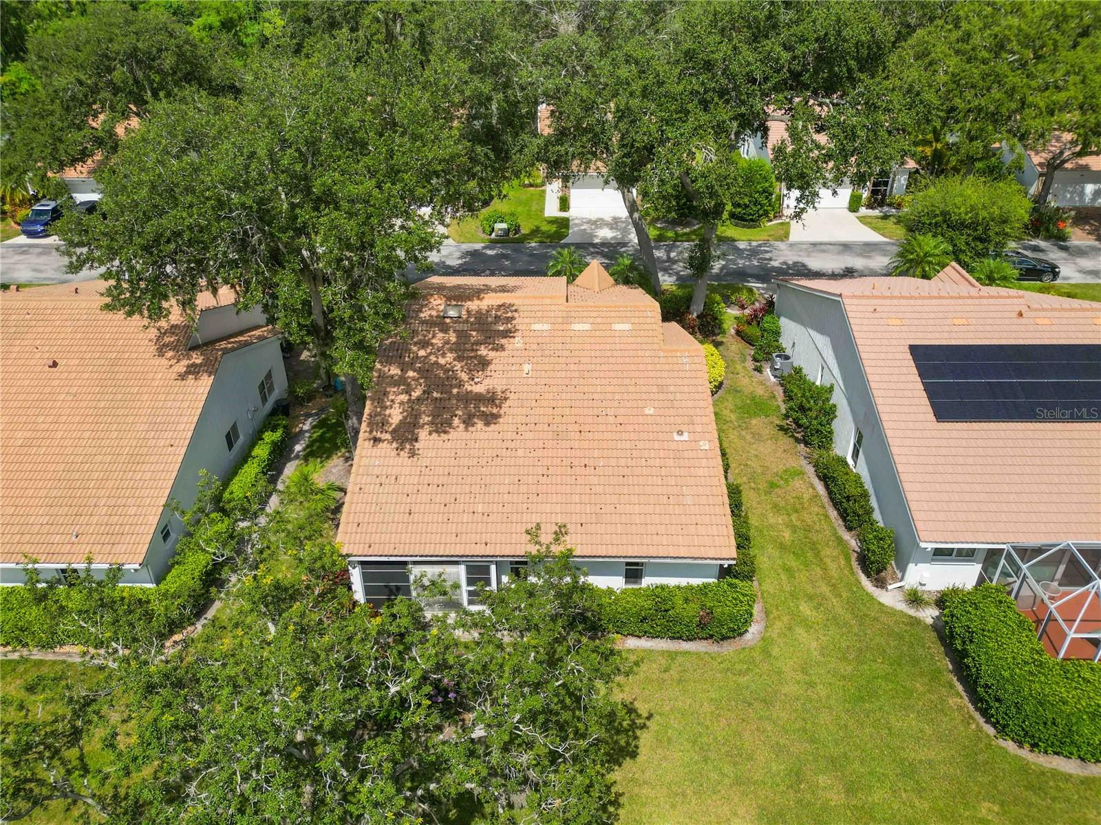 5807 GARDEN LAKES FERN
