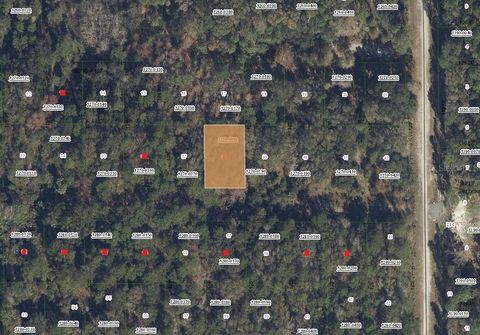 332 LAISY DRIVE GEORGETOWN FL 32139