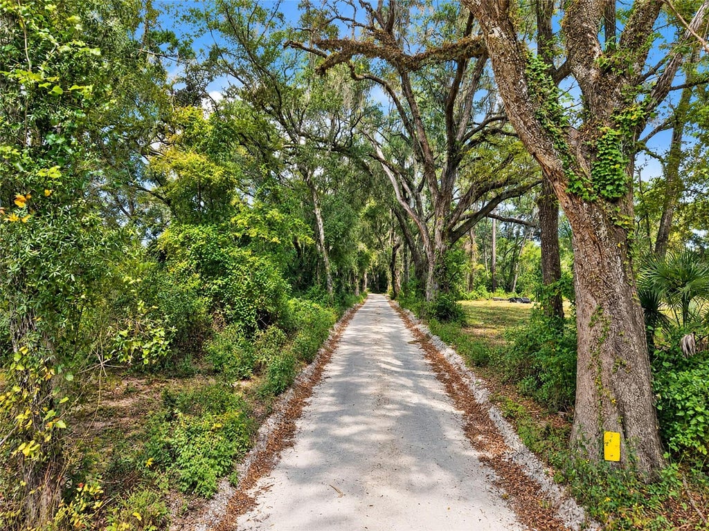 Photo of 2425 NW 162nd Street, Newberry, FL 32669 (MLS # GC544251)