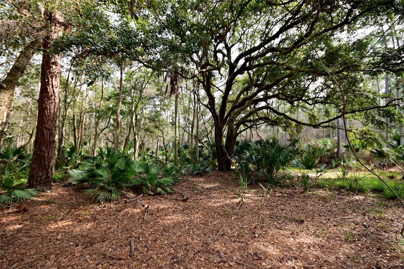 Howe & Curriers Allotment - Land
