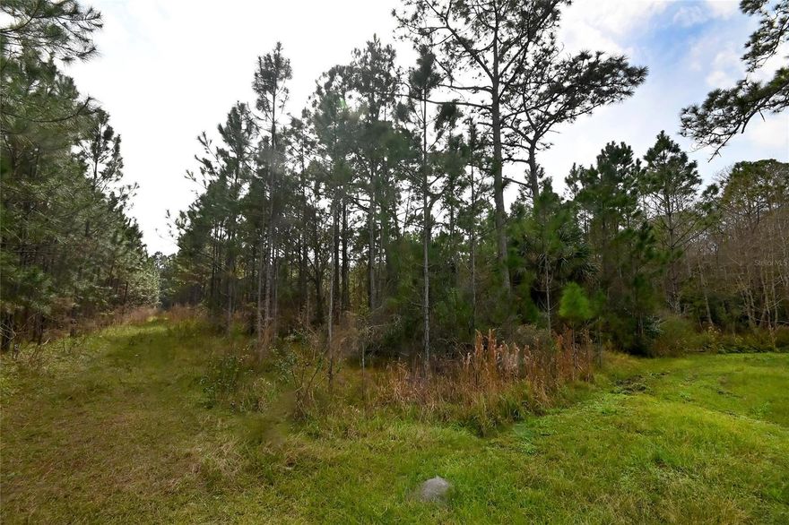 So much potential here! This 11-acres of secluded land is at the end of Saddle Creek Run. All surrounding homes are on 10-acre parcels or more and zoned agriculture. Bring the horses! This parcel features some very nice mature oak trees surrounded mostly by pine trees. There is plenty of space to build a home and have complete privacy all around. This property is near two county maintained public parks; Deep Creek Preserve (excellent for hiking or riding horses) and Lake Ashby Park and boat ramp (fishing, camping, playground, etc.).; Cleared: Partial