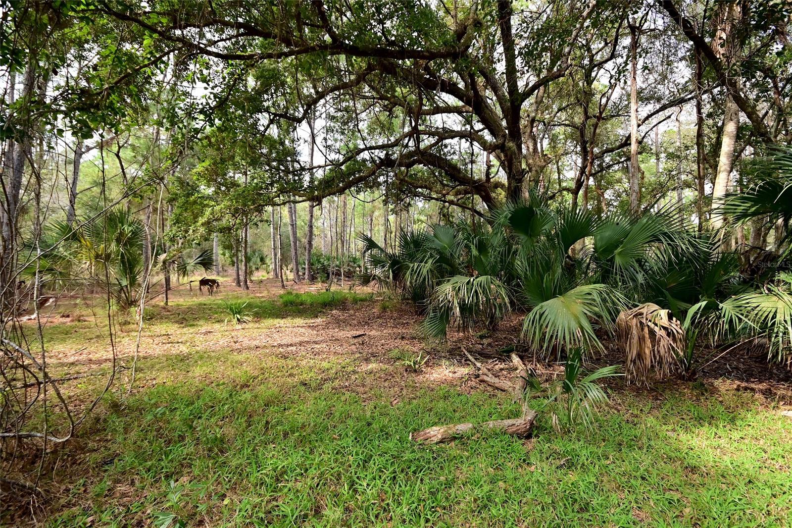 Howe & Curriers Allotment - Land