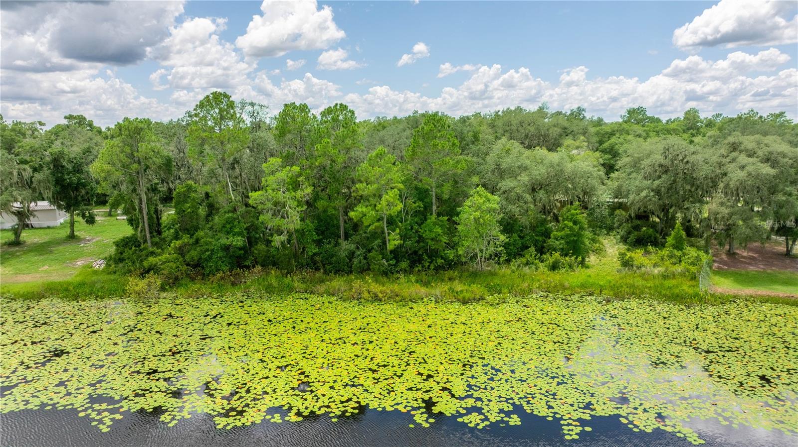 THREE LAKES ESTATE - Land