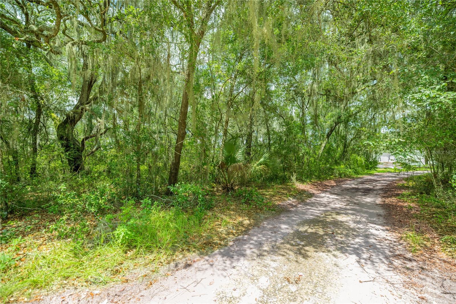 THREE LAKES ESTATE - Land