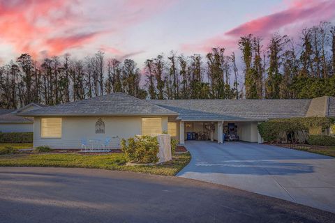 A home in SUN CITY CENTER