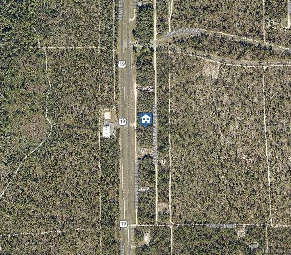 Photo of 15 Nicasio Jay Avenue, Weeki Wachee, FL 34614 (MLS # W7881616)
