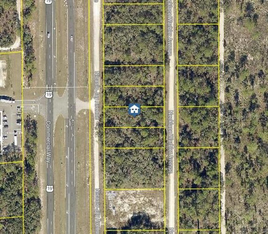 *Four individual lots available — sellable together or separately to meet buyer needs.* Discover a rare opportunity to own one or multiple beautiful vacant lots in the Royal Highlands area of Weeki Wachee, Florida. These parcels provides a blank canvas for your future home, investment property, or long-term land holding. Located in desirable Hernando County, these lots are nestled in a peaceful residential neighborhood, just minutes from major roadways, shopping, dining, and outdoor attractions of the Nature Coast.