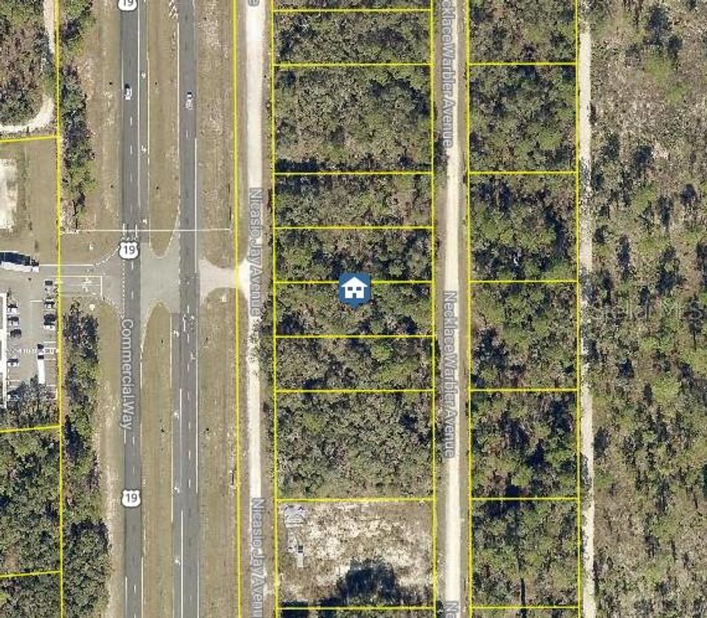 Photo of 15 Nicasio Jay Avenue, Weeki Wachee, FL 34614 (MLS # W7881616)