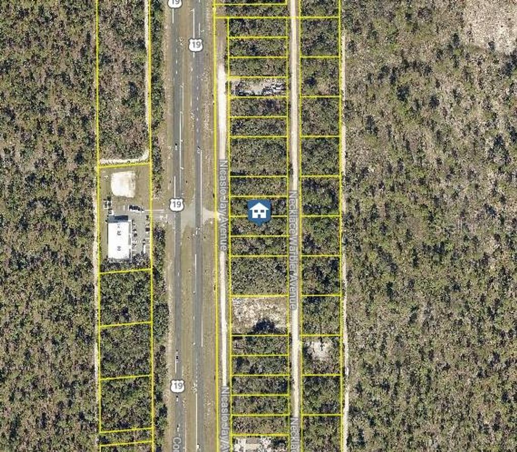 Photo of 15 Nicasio Jay Avenue, Weeki Wachee, FL 34614 (MLS # W7881616)