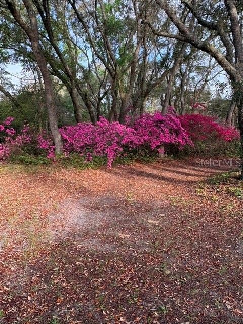 Tiny photo for 5450 W Knoxville Lane, Dunnellon, FL 34433 (MLS # OM731380)