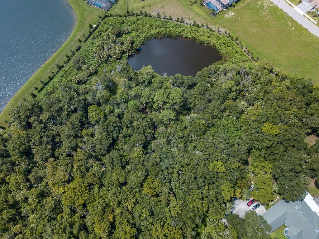 Offered is a Foxfire Estates lot with 2.15 acres to build your estate in a desirable equestrian community. The property features breath-taking natural tree canopy with no rear neighbors. A proposed luxury modern build can be visualized in this idyllic setting, poised at the end of a secluded cul-de-sac with only 6 residences. Privacy and flexibility abound, as Foxfire allows for a secondary detached structure like Mother-In-Law suite or carriage home. Engineered set of home plans total in 3500 sq feet available for your customization to convey with purchase. These plans were previously approved by Army Corp of Engineers permit. Homesite rests on 0.6 acres of uplands in the rear of the pie shape overlooking neighboring pond. Located only minutes from award winning beaches, world-class shopping, restaurants, and great schools. University Town Center, Myakka State Park, Twin Lakes Park, and Siesta Key are just a short trip away! Take advantage of this unique and picturesque Old Florida setting, and convenient location near the I-75 corridor. Property electronic dossier is available by email.