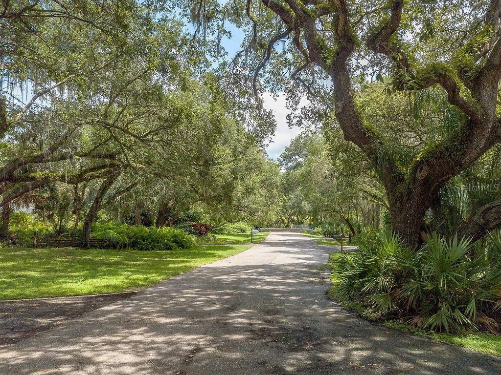 QUARTER HORSE ROAD