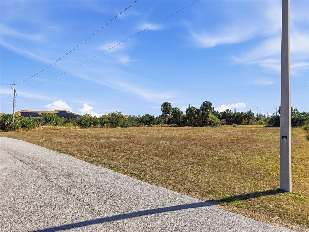 Photo of Smilodon Trail, Ruskin, FL 33570 (MLS # TB8470132)