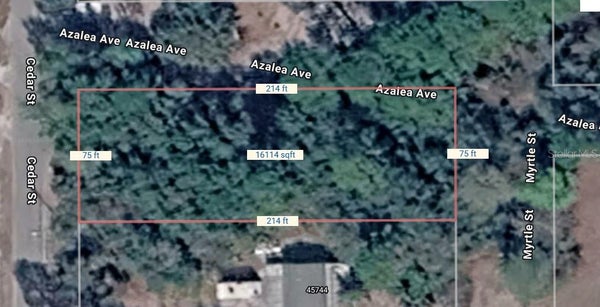 LOTS 1-3+12-14 CEDAR STREET, PAISLEY, FL 32767 - Image 4f0862d2fbec405cec0b3f8356cbb68b/3917504667