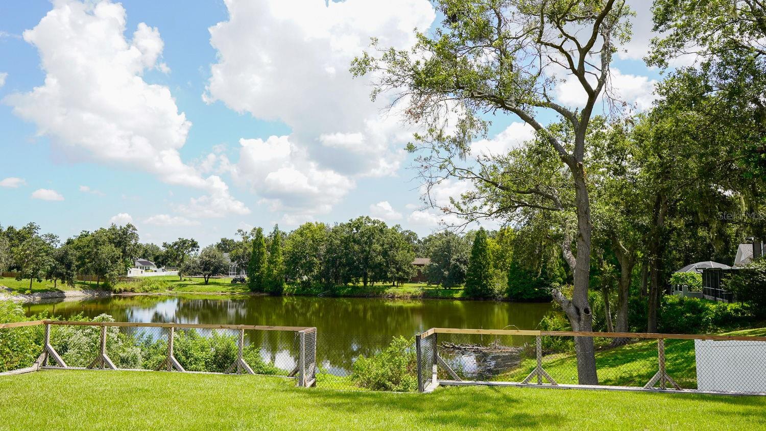5225 NORRIS LAKE COURT
