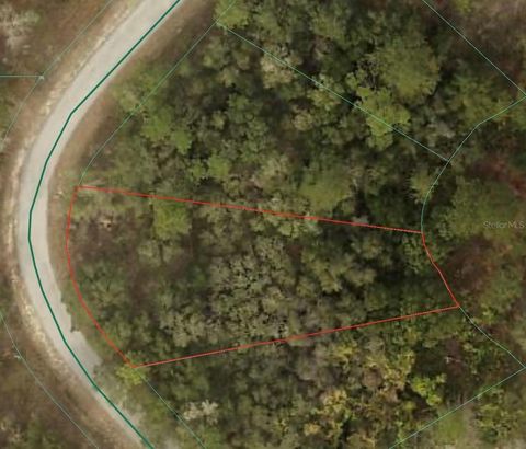 Tiny photo for 0 SW Shorewood Drive, Dunnellon, FL 34431 (MLS # TB8507470)