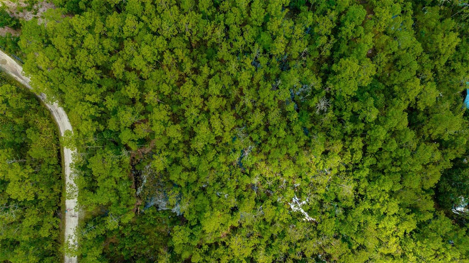 PLANTATION PINES UNREC 246 - Land