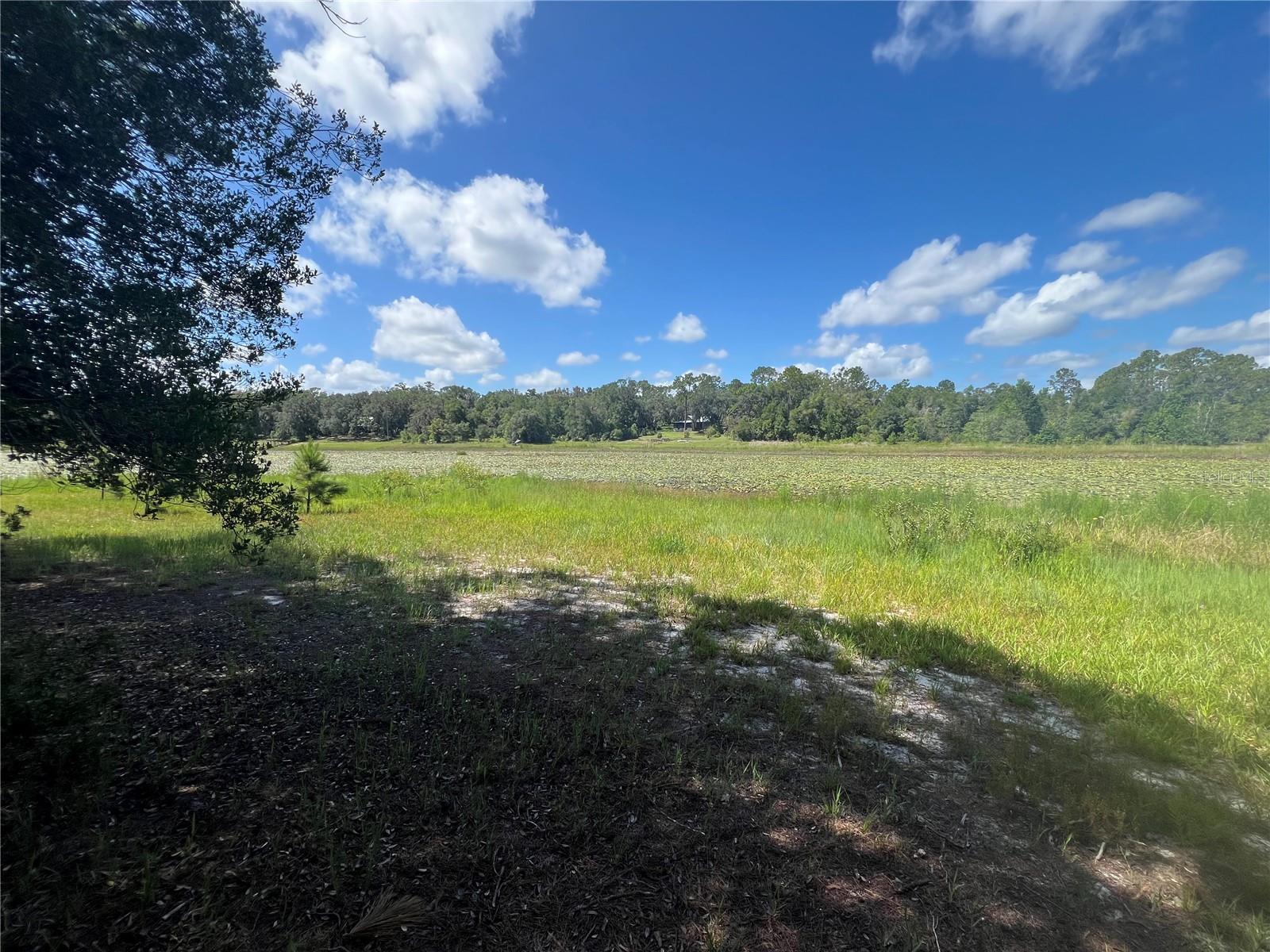2.98 acre property zoned R2 with 150 feet of waterfront on 18 Acre East Lake. Come and build your dream home on this wooded and shaded beautiful property. Easy access to the water. Buying Land in Florida is a solid investment.