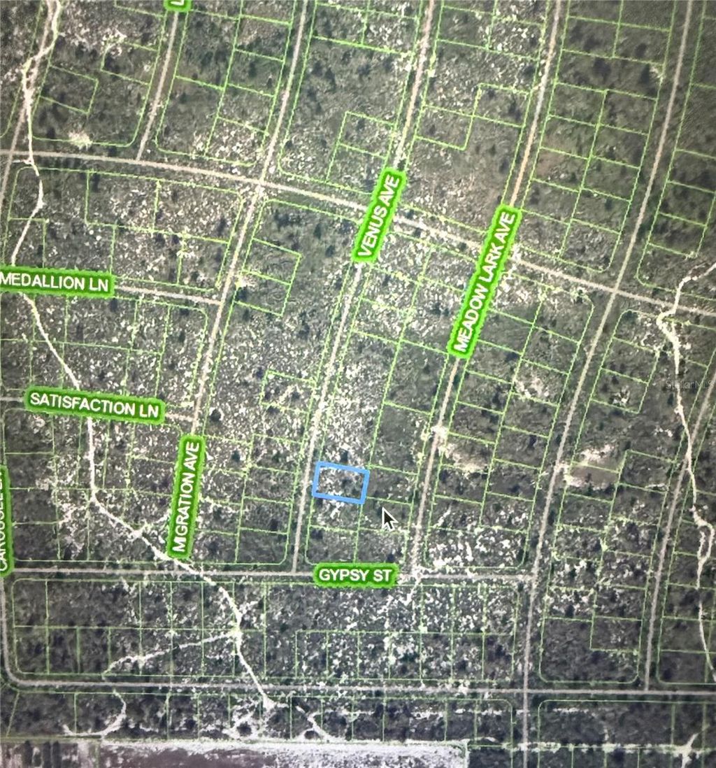 Photo of 548 Venus Avenue, Lake Placid, FL 33852 (MLS # A4671670)