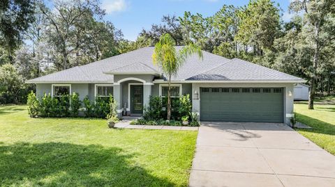 A home in BROOKSVILLE