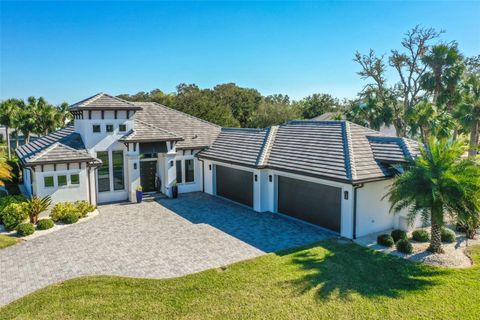 A home in FLAGLER BEACH