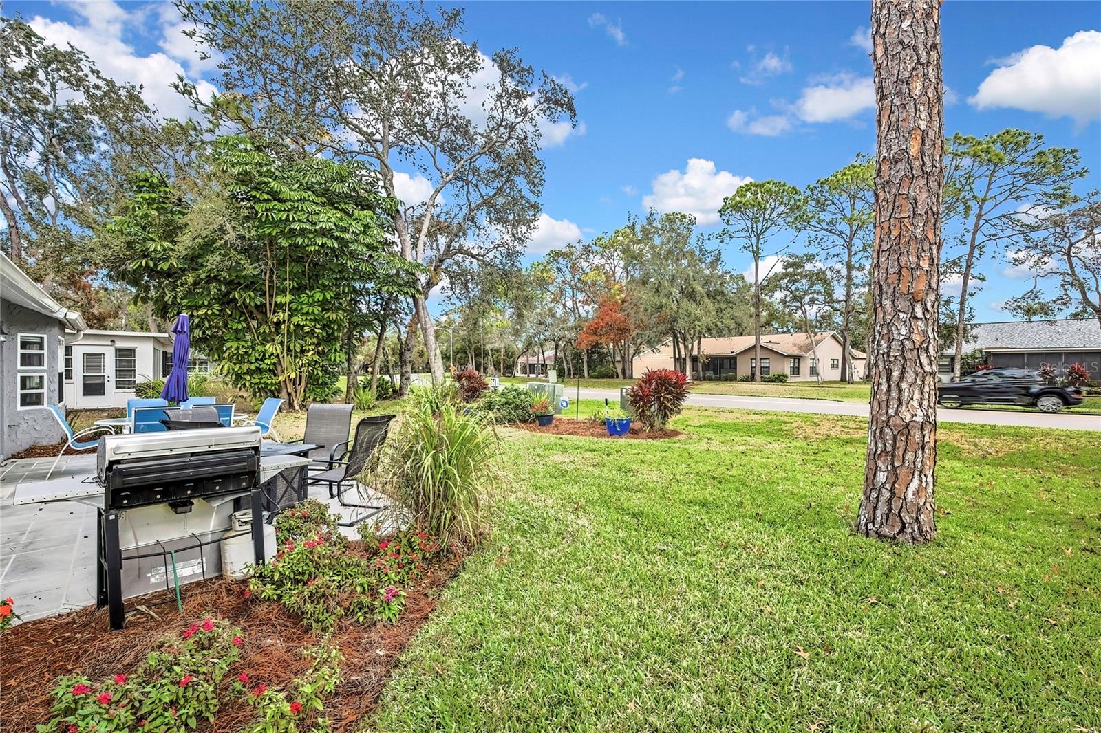 TIMBER PINES - Residential