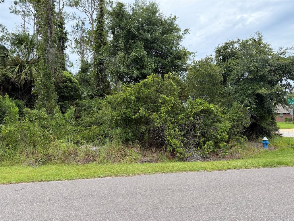 Photo of 1 Kashgar Court, Palm Coast, FL 32164 (MLS # FC320490)