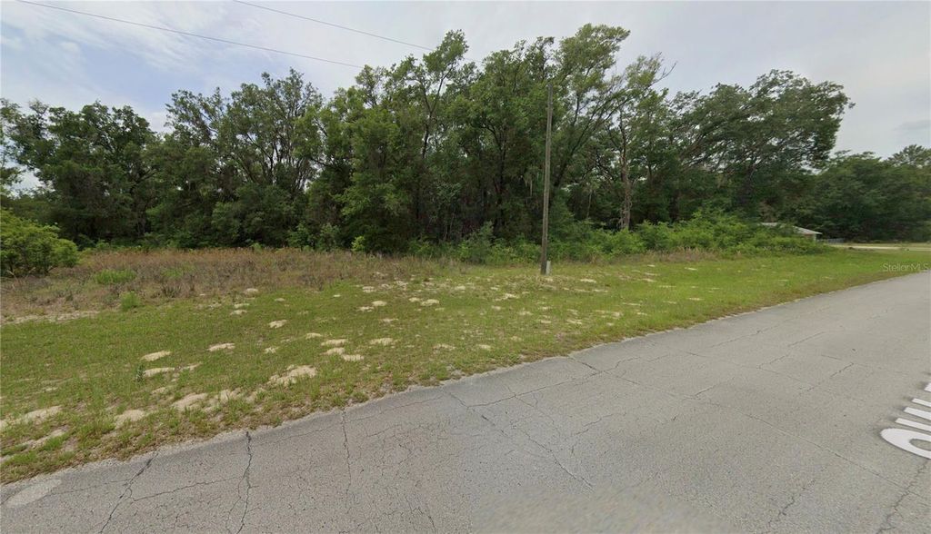 Photo of Marion Oaks Lane, Ocala, FL 34473 (MLS # O6351758)