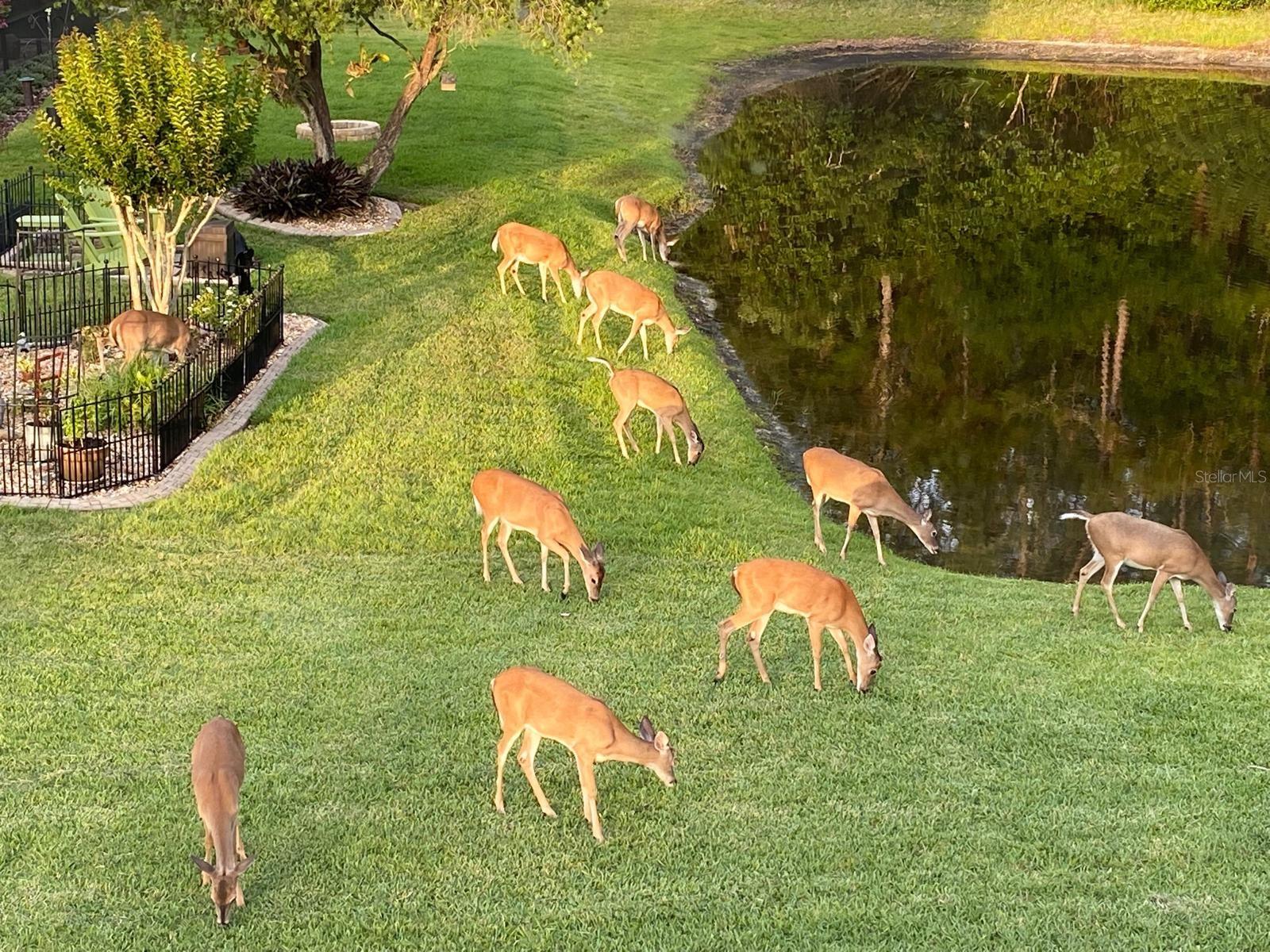 CANTERBURY VILLAGE FIRST ADD - Residential