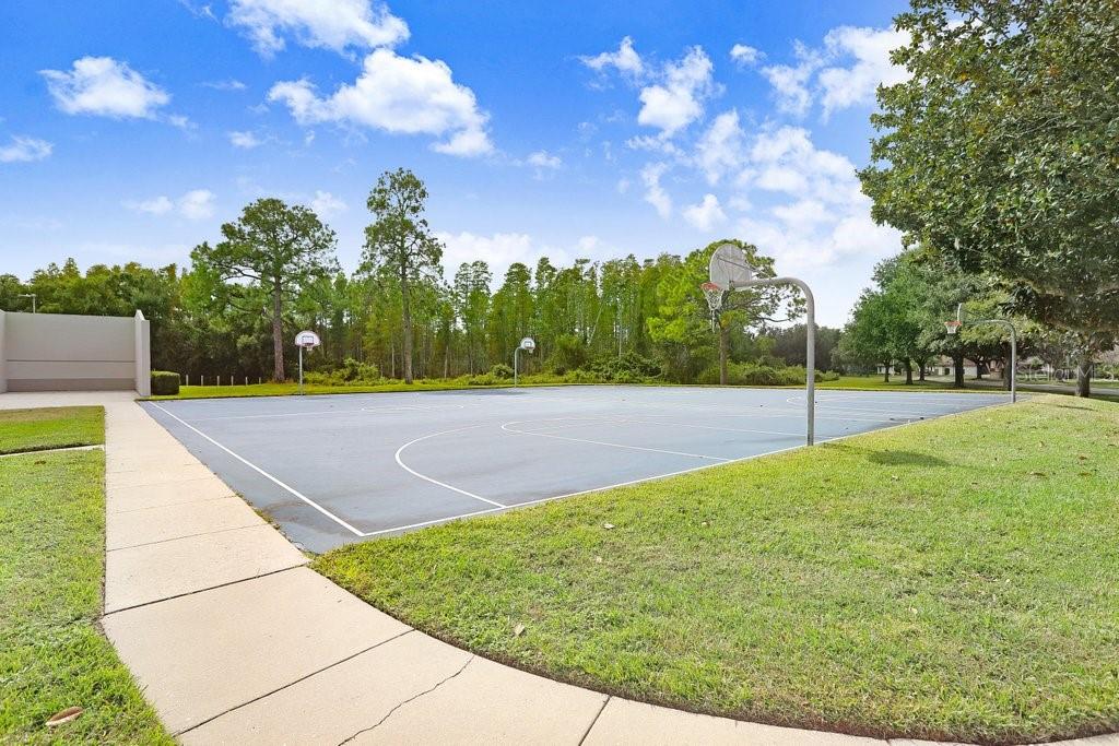 THE TRAILS AT VAN DYKE FARMS - Residential