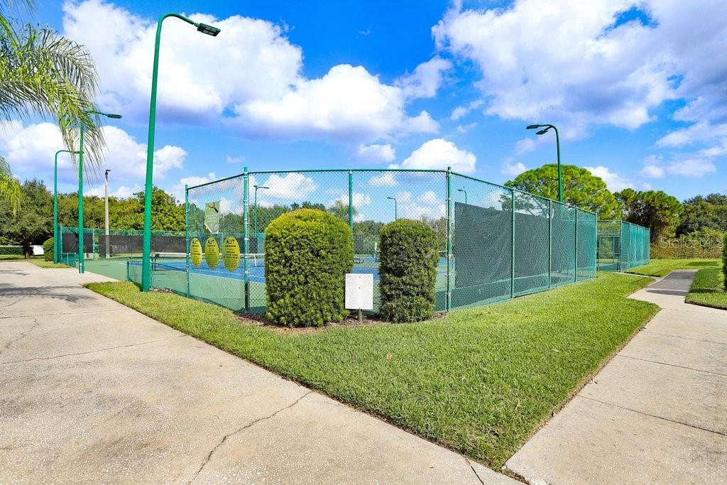 THE TRAILS AT VAN DYKE FARMS - Residential