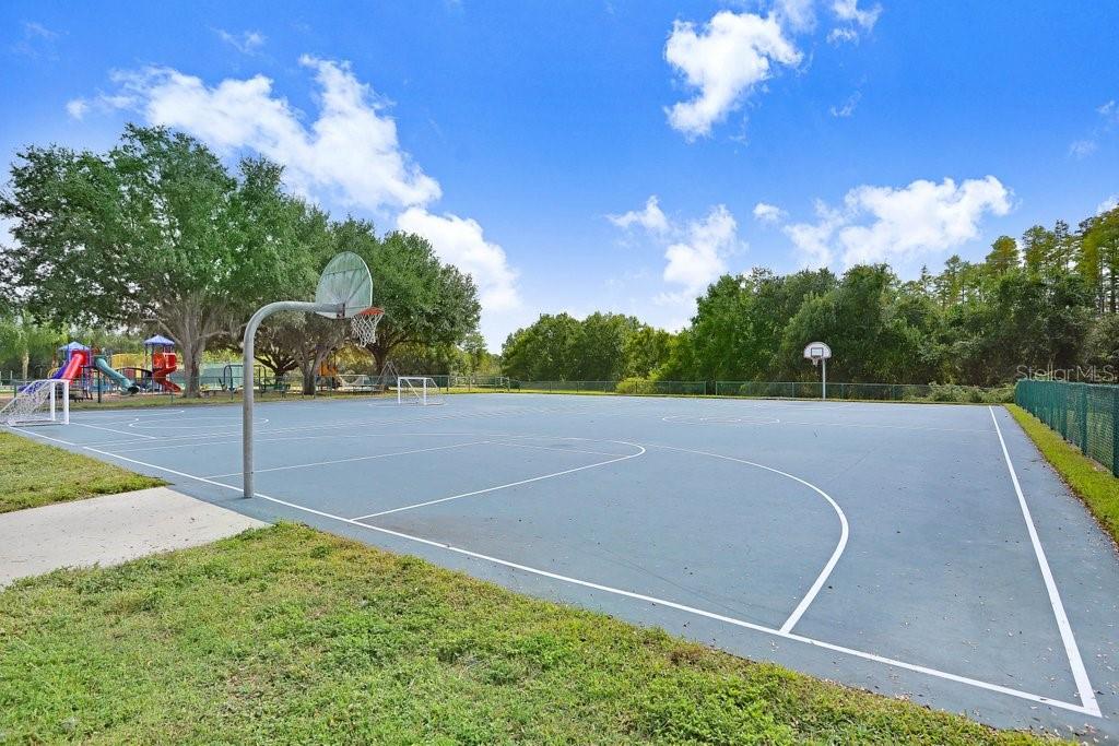 THE TRAILS AT VAN DYKE FARMS - Residential