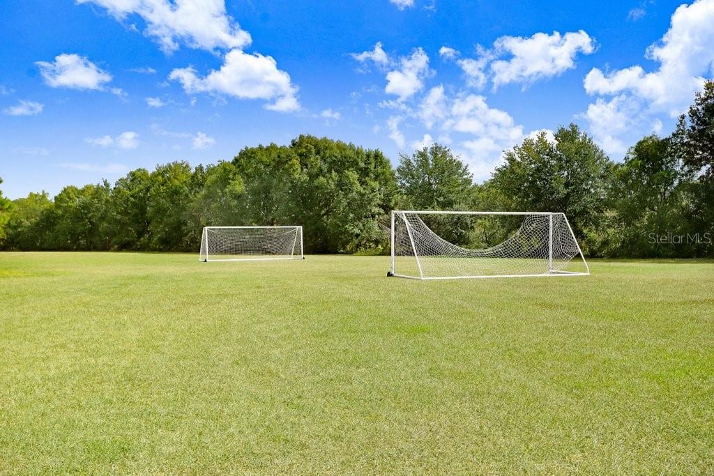 THE TRAILS AT VAN DYKE FARMS - Residential