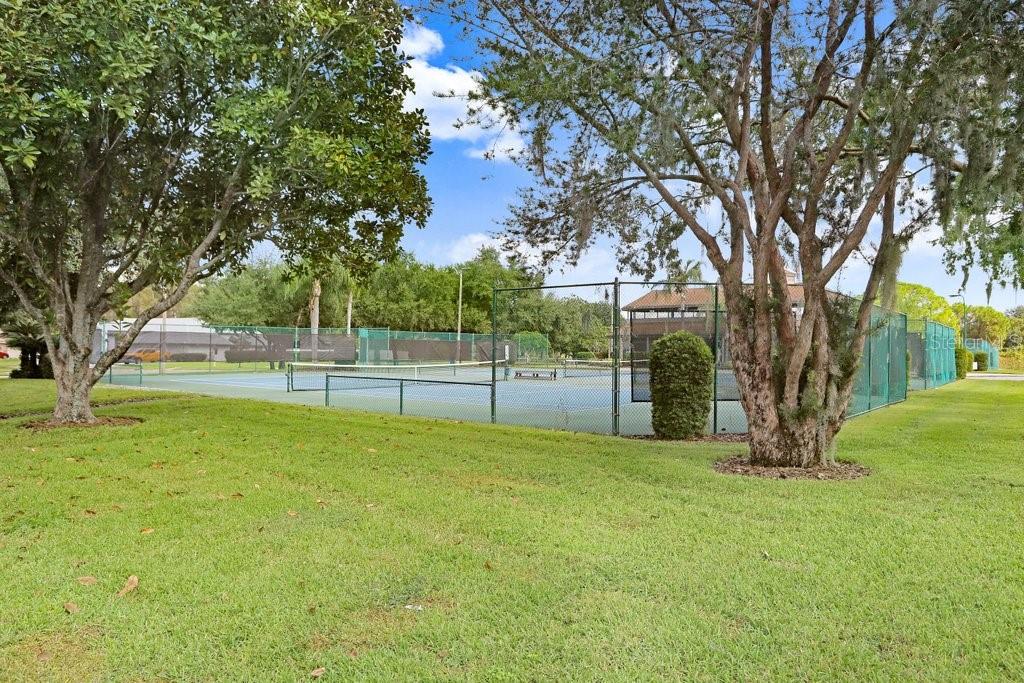 THE TRAILS AT VAN DYKE FARMS - Residential