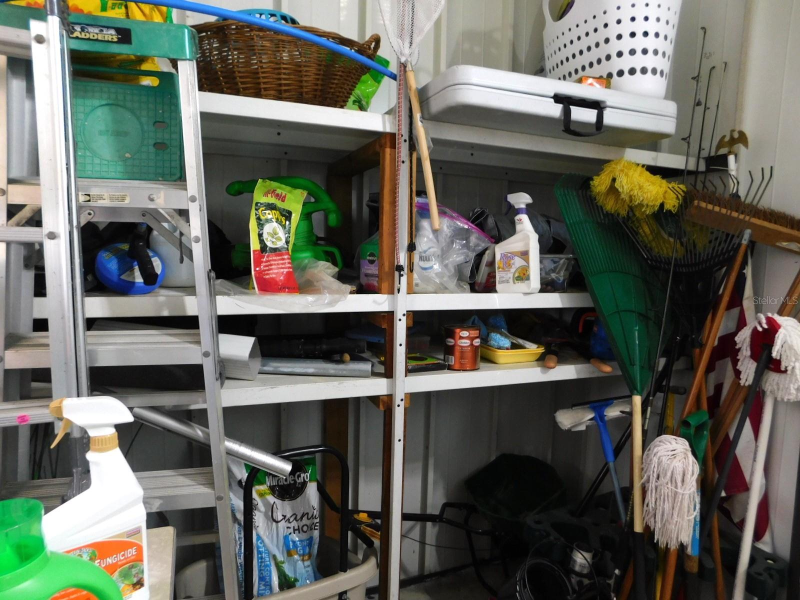 PARADISE ISLAND CO-OP INC - Residential