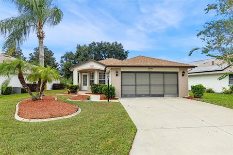 5535 SIR CHURCHILL DRIVE LEESBURG FL 34748