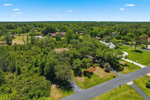 Tiny photo for 15240 Shady Ln, Tavares, FL 32778 (MLS # G5110602)