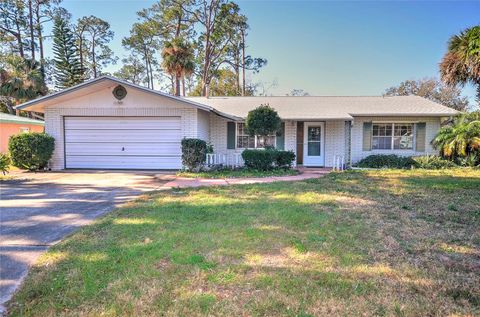 A home in NEW SMYRNA BEACH