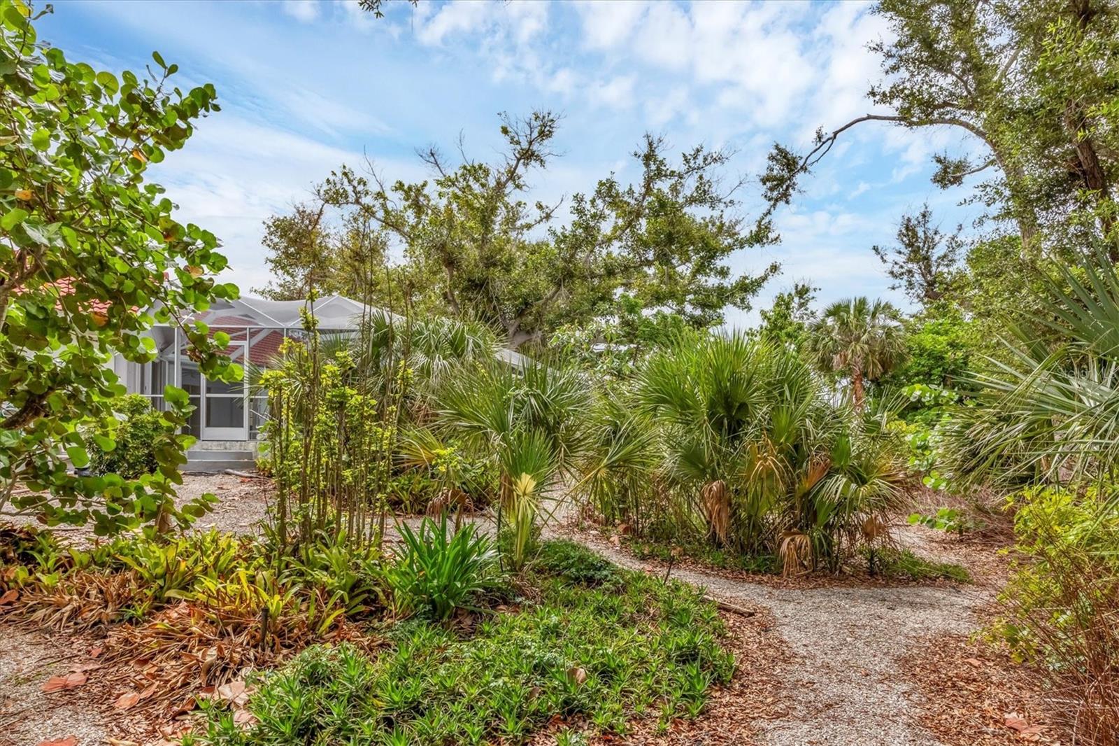 CAPE HAZE - Residential