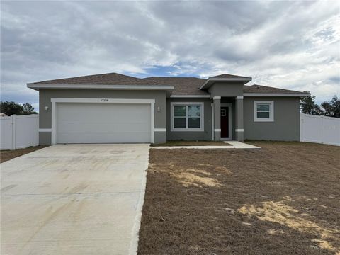 Photo of 17199 SW 43rd Court, Ocala, FL 34473 (MLS # TB8475414)