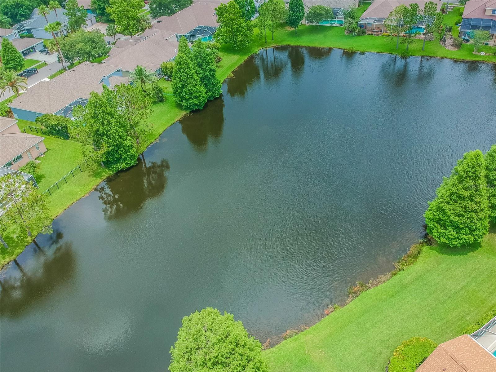 WESTCHASE SEC 303 - Residential Lease